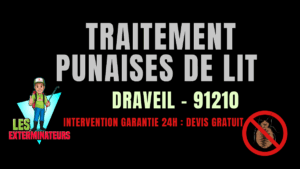 Traitement des punaises de lit à Draveil