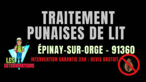 Traitement des punaises de lit à Épinay-sur-Orge