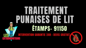 Traitement des punaises de lit à Étampes