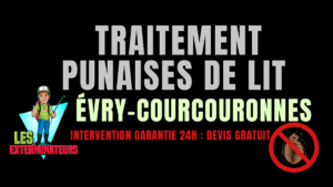 Traitement des punaises de lit à Évry-Courcouronnes