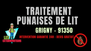 Traitement des punaises de lit à Grigny
