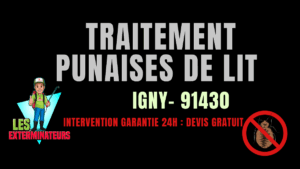 Traitement des punaises de lit à Igny