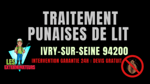 Punaises de lit Ivry-sur-Seine