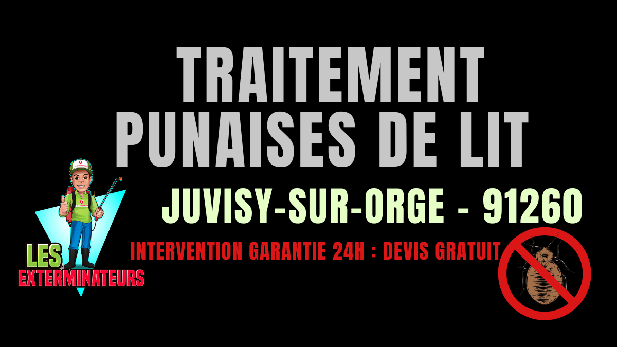 Traitement des punaises de lit à Juvisy-sur-Orge
