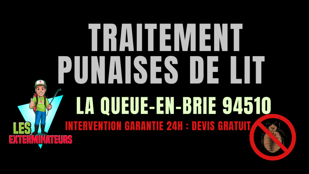 Punaises de lit La Queue-en-Brie