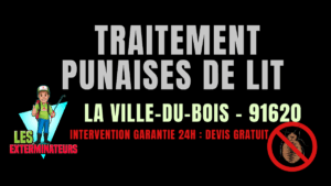 Traitement des punaises de lit à La Ville-du-Bois