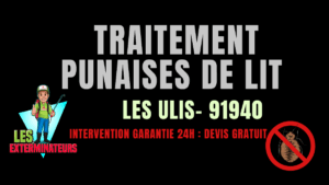 Traitement des punaises de lit à Les Ulis