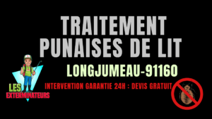 Traitement des punaises de lit à Longjumeau