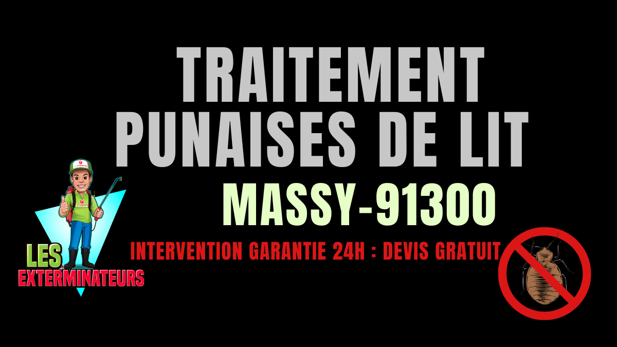 Traitement des punaises de lit à Massy