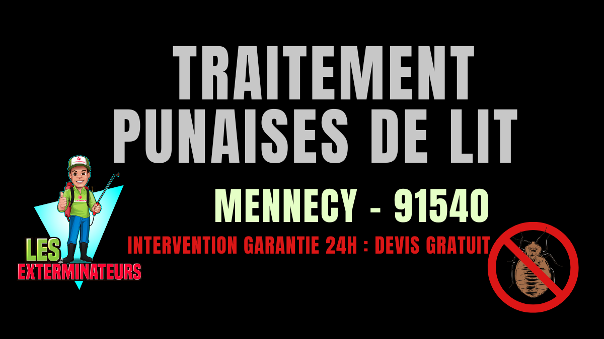 Traitement des punaises de lit à Mennecy