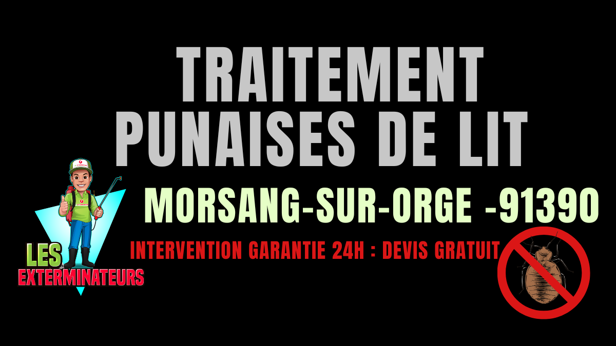 Traitement des punaises de lit à Morsang-sur-Orge