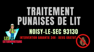 Punaises de lit Noisy-le-Sec