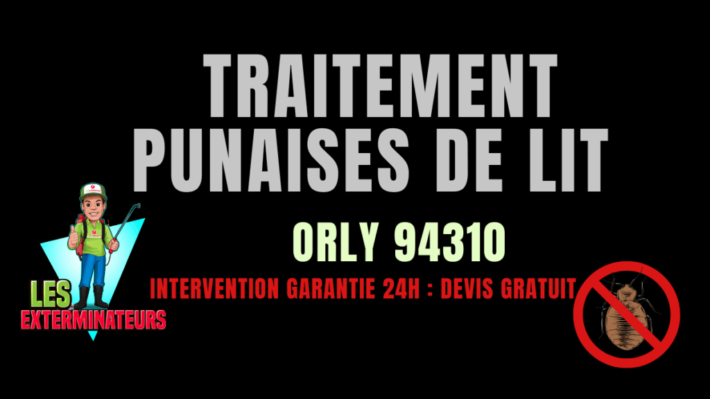 Punaises de lit Orly