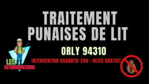 Punaises de lit Orly