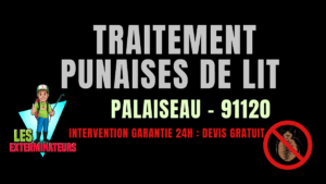 Traitement des punaises de lit à Palaiseau