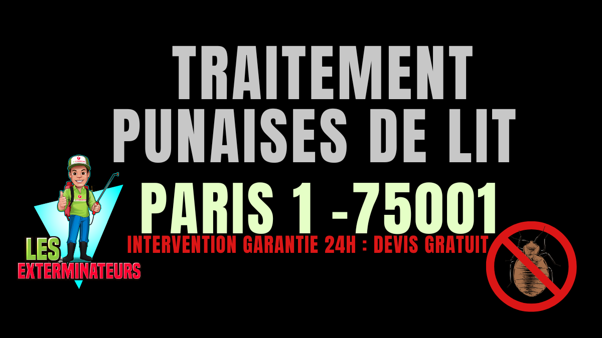 Traitement professionnel des punaises de lit à Paris 1 (75001) par Les Exterminateurs – intervention rapide et garantie.