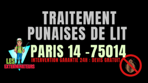 Traitement professionnel des punaises de lit à Paris 14 (75014) par Les Exterminateurs – intervention rapide et garantie à Montparnasse, Alésia, Parc Montsouris.