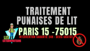 Traitement professionnel des punaises de lit à Paris 15 (75015) par Les Exterminateurs – intervention rapide et garantie à Convention, Vaugirard, Beaugrenelle.