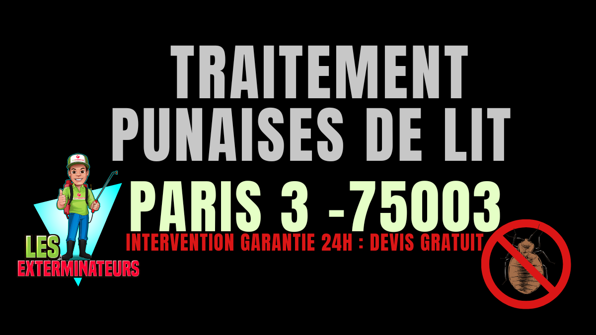 Traitement professionnel des punaises de lit à Paris 3 (75003) par Les Exterminateurs – intervention rapide et garantie à Marais, Arts-et-Métiers, Temple.
