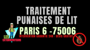 Traitement professionnel des punaises de lit à Paris 6 (75006) par Les Exterminateurs – intervention rapide et garantie à Saint-Germain-des-Prés, Odéon, Luxembourg.