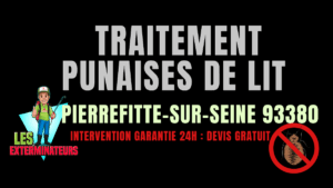 Punaises de lit Pierrefitte-sur-Seine