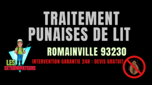 Punaises de lit Romainville