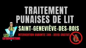 Traitement des punaises de lit à Sainte-Geneviève-des-Bois