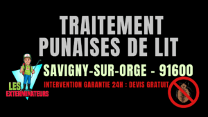 Traitement des punaises de lit à Savigny-sur-Orge