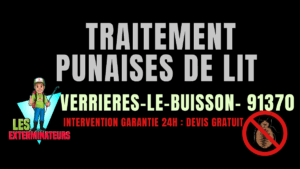 Traitement des punaises de lit à Verrières-le-Buisson