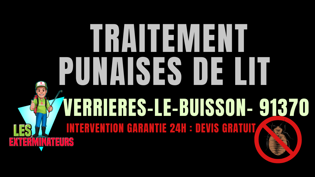 Traitement des punaises de lit à Verrières-le-Buisson