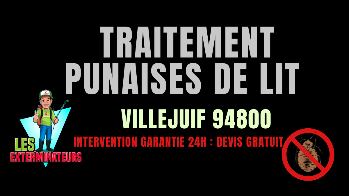 Punaises de lit Villejuif