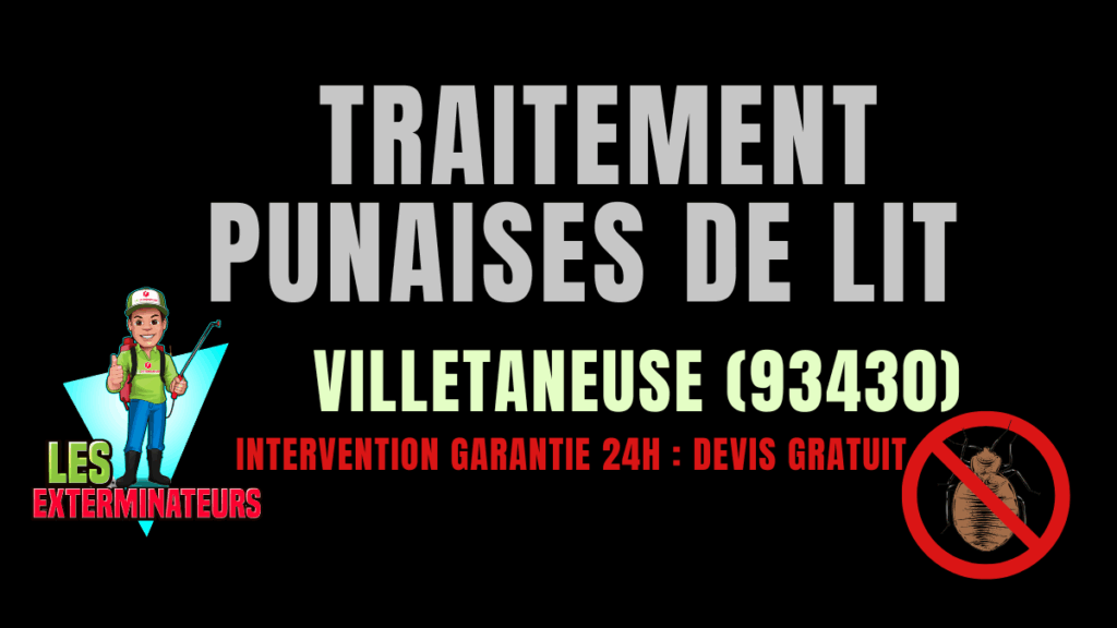 Punaises de lit Villetaneuse