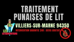 Punaises de lit Villiers-sur-Marne