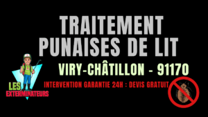 Traitement des punaises de lit à Viry-Châtillon