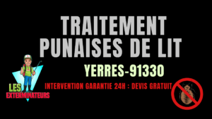 Traitement des punaises de lit à Yerres