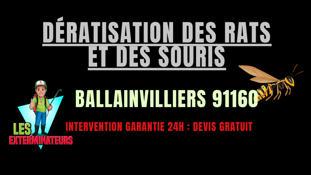 Dératisation des rats et des souris Ballainvilliers