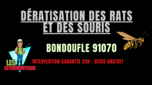 Dératisation des rats et des souris Bondoufle