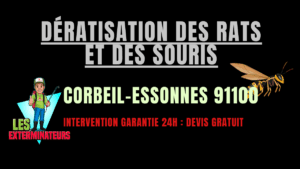 Dératisation des rats et des souris Corbeil-Essonnes