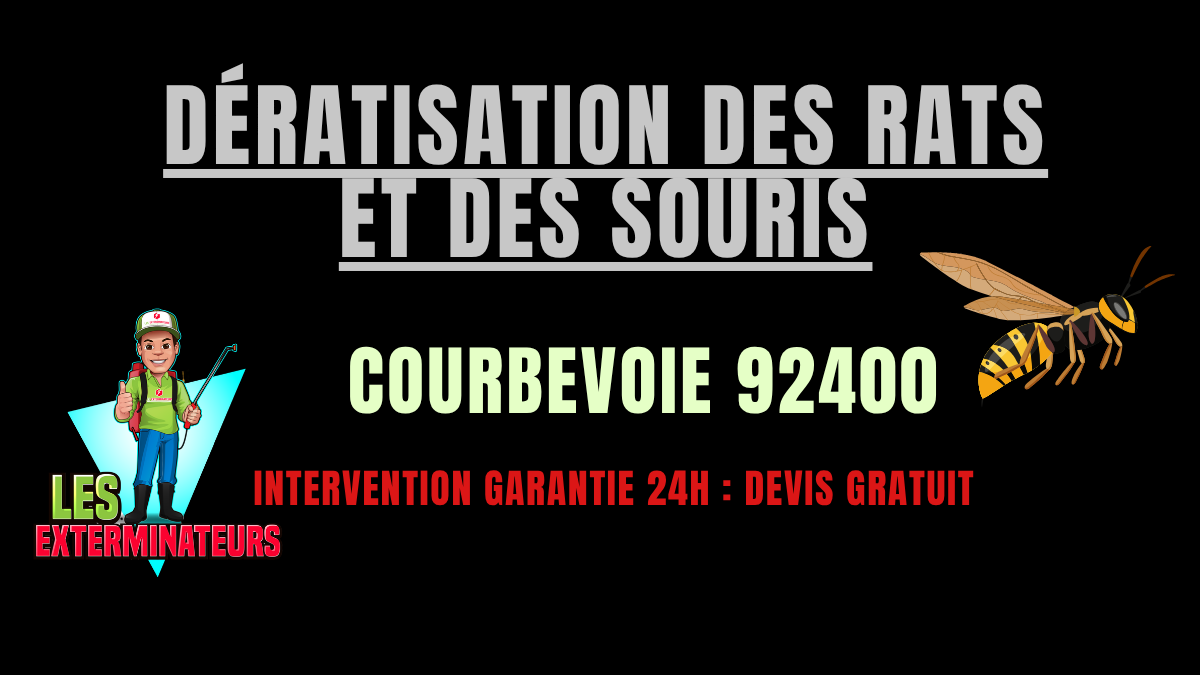 Dératisation des rats et des souris Courbevoie
