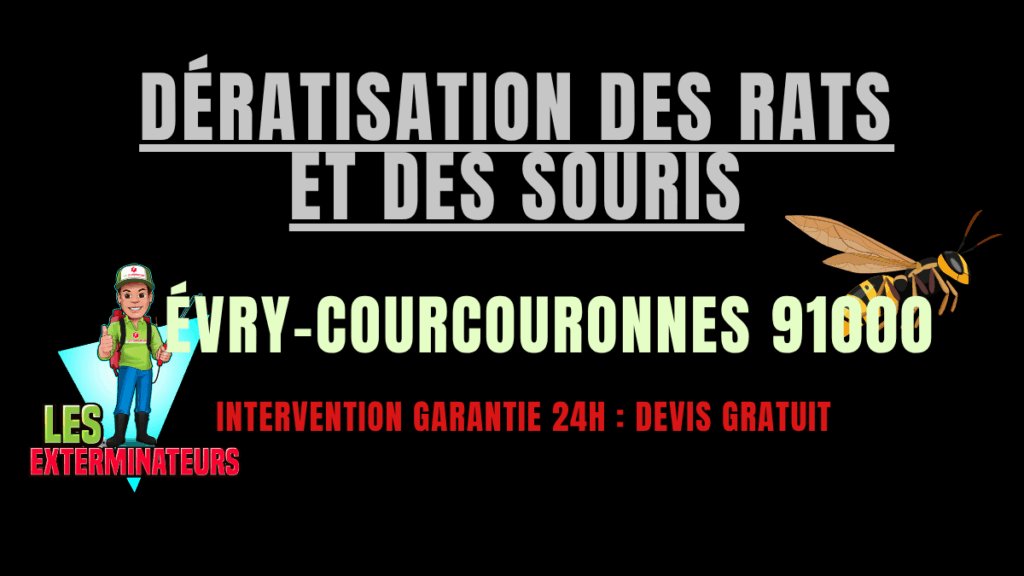 Dératisation des rats et des souris Évry-Courcouronnes