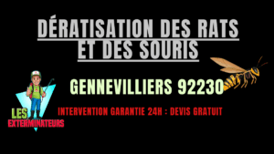 Dératisation des rats et des souris Gennevilliers