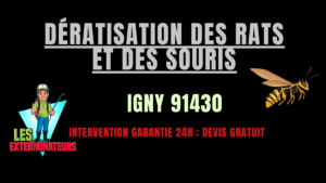 Dératisation des rats et des souris Igny