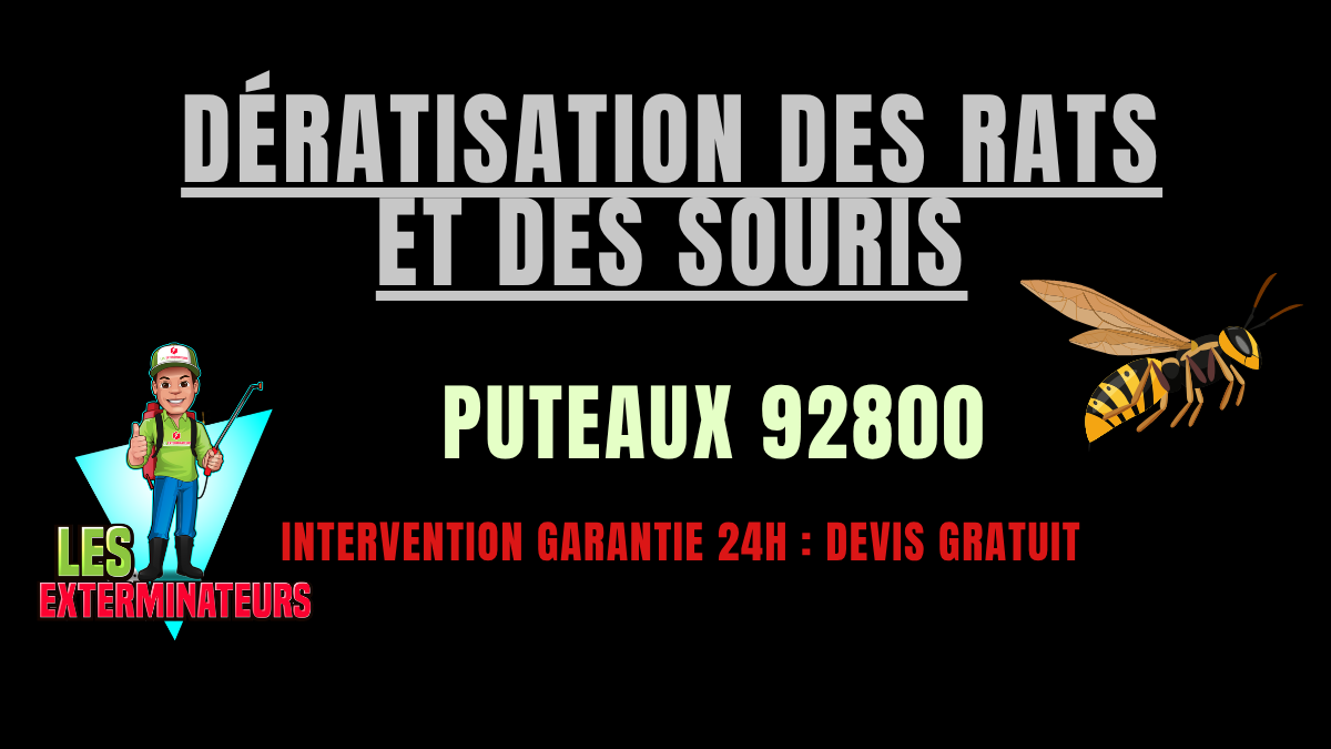 Dératisation des rats et des souris Puteaux