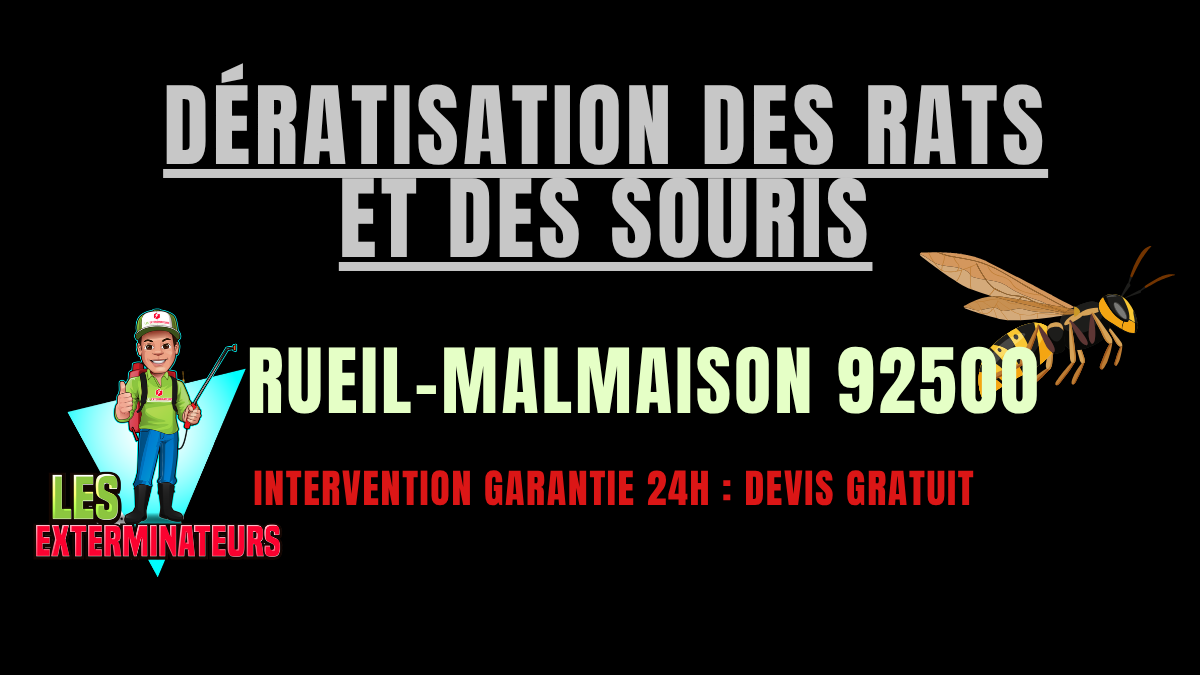 Dératisation des rats et des souris Rueil-Malmaison