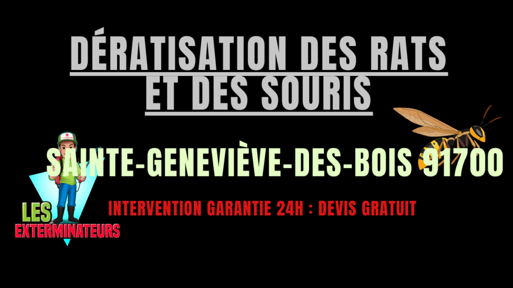 Dératisation des rats et des souris Sainte-Geneviève-des-Bois