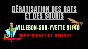 Dératisation des rats et des souris Villebon-sur-Yvette