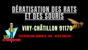 Dératisation des rats et des souris Viry-Châtillon