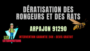 Dératisation des rongeurs et des rats Arpajon