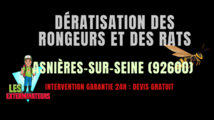 Dératisation des rongeurs et des rats Asnières-sur-Seine