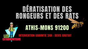 Dératisation des rongeurs et des rats Athis-Mons